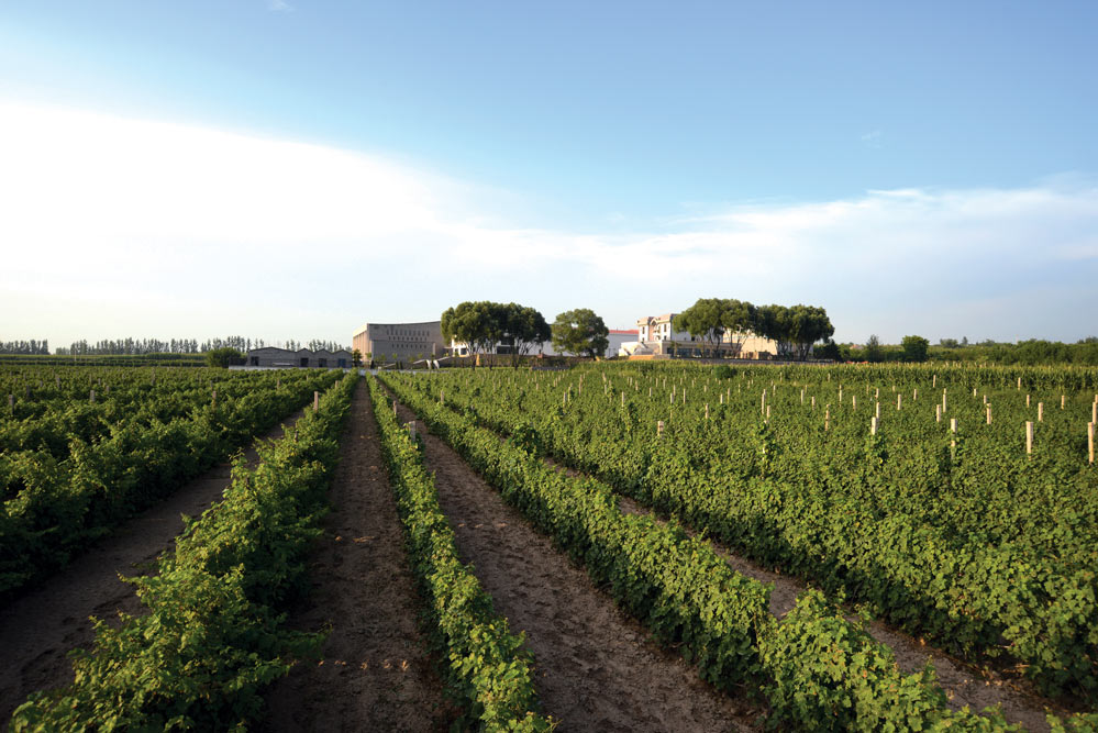 Grace Vineyard in Shanxi province, China